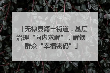 无棣县海丰街道：基层治理“向内求解”，解锁群众“幸福密码”