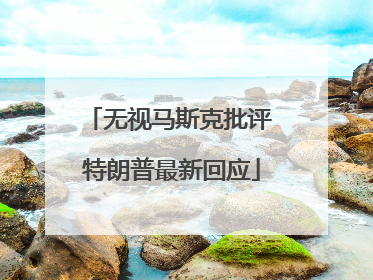 无视马斯克批评 特朗普最新回应