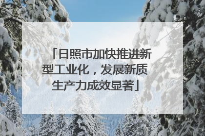 日照市加快推进新型工业化，发展新质生产力成效显著