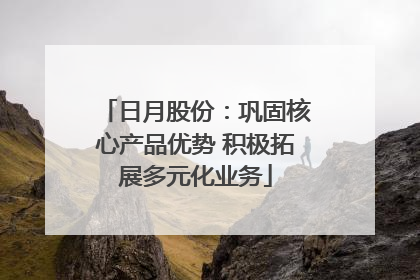 日月股份：巩固核心产品优势 积极拓展多元化业务