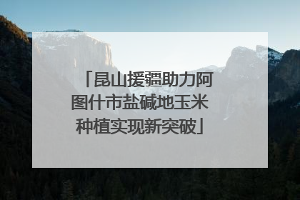 昆山援疆助力阿图什市盐碱地玉米种植实现新突破