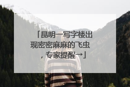 昆明一写字楼出现密密麻麻的飞虫，专家提醒→