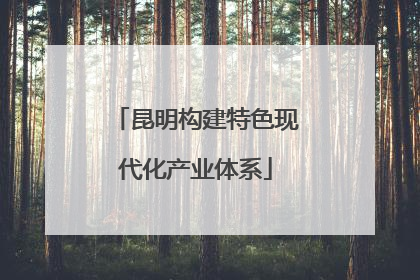 昆明构建特色现代化产业体系