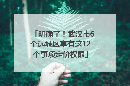 明确了！武汉市6个远城区享有这12个事项定价权限