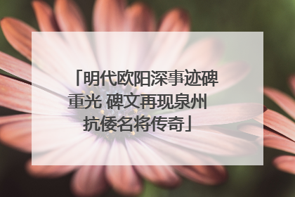明代欧阳深事迹碑重光 碑文再现泉州抗倭名将传奇