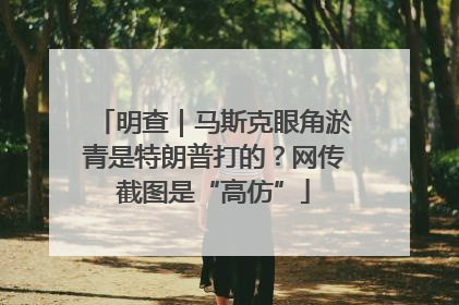 明查｜马斯克眼角淤青是特朗普打的？网传截图是“高仿”