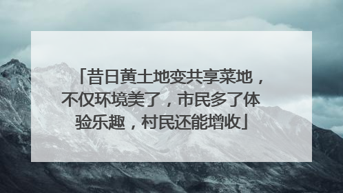 昔日黄土地变共享菜地，不仅环境美了，市民多了体验乐趣，村民还能增收