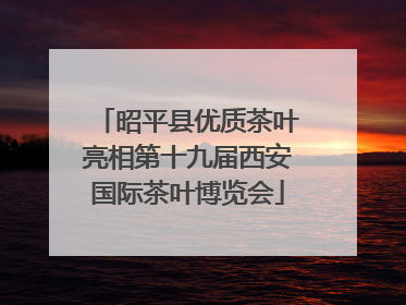 昭平县优质茶叶亮相第十九届西安国际茶叶博览会