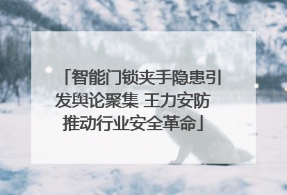 智能门锁夹手隐患引发舆论聚集 王力安防推动行业安全革命
