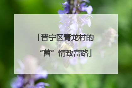 晋宁区青龙村的“菌”情致富路