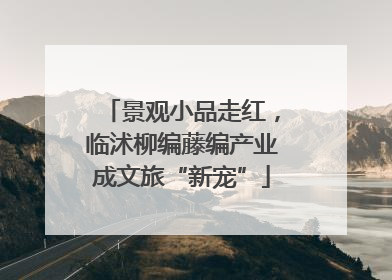 景观小品走红，临沭柳编藤编产业成文旅“新宠”