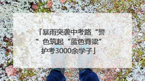 暴雨突袭中考路“警”色筑起“蓝色脊梁”护考3000余学子