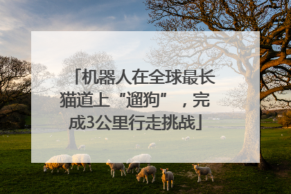 机器人在全球最长猫道上“遛狗”，完成3公里行走挑战