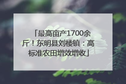 最高亩产1700余斤！东明县刘楼镇：高标准农田增效增收