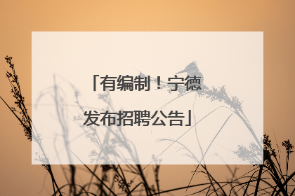 有编制！宁德发布招聘公告