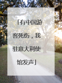 有中国游客死伤，我驻意大利使馆发声