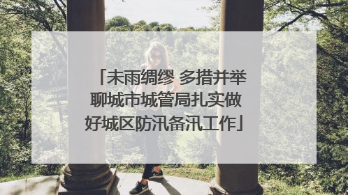 未雨绸缪 多措并举 聊城市城管局扎实做好城区防汛备汛工作