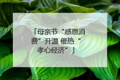 母亲节“感恩消费”升温 催热“孝心经济”
