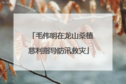 毛伟明在龙山桑植慈利指导防汛救灾
