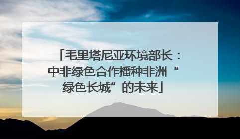 毛里塔尼亚环境部长：中非绿色合作播种非洲“绿色长城”的未来