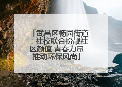 武昌区杨园街道：社校联合扮靓社区颜值 青春力量推动环保风尚