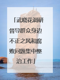 武晓花调研督导群众身边不正之风和腐败问题集中整治工作