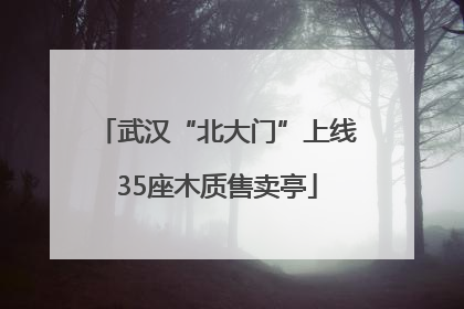 武汉“北大门”上线35座木质售卖亭
