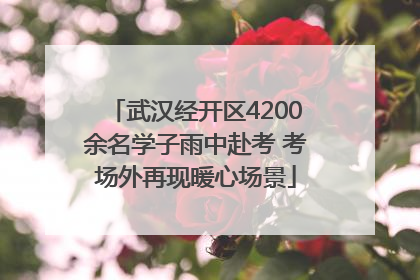 武汉经开区4200余名学子雨中赴考 考场外再现暖心场景
