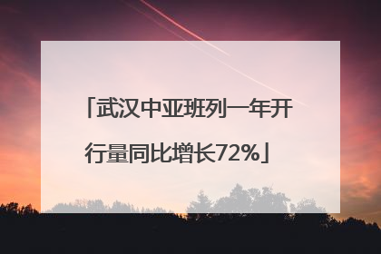 武汉中亚班列一年开行量同比增长72%