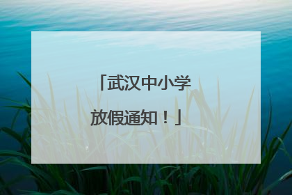 武汉中小学放假通知！
