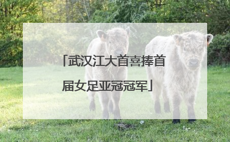 武汉江大首喜捧首届女足亚冠冠军
