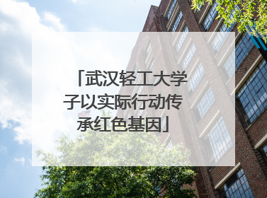 武汉轻工大学子以实际行动传承红色基因