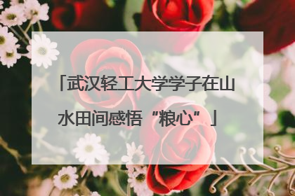 武汉轻工大学学子在山水田间感悟“粮心”