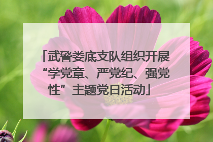 武警娄底支队组织开展“学党章、严党纪、强党性”主题党日活动