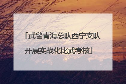 武警青海总队西宁支队开展实战化比武考核