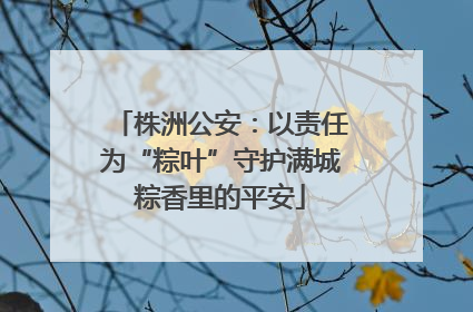 株洲公安：以责任为“粽叶”守护满城粽香里的平安