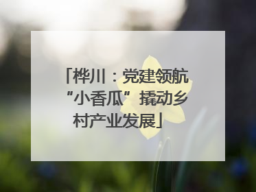 桦川：党建领航“小香瓜”撬动乡村产业发展