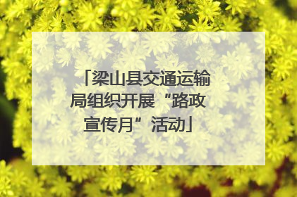 梁山县交通运输局组织开展“路政宣传月”活动