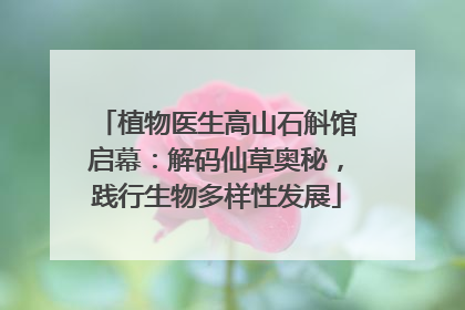 植物医生高山石斛馆启幕：解码仙草奥秘，践行生物多样性发展