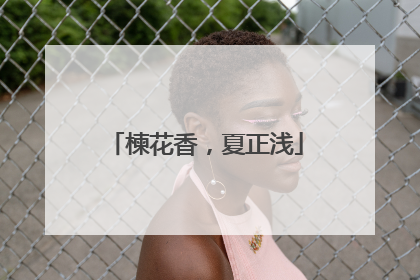 楝花香，夏正浅
