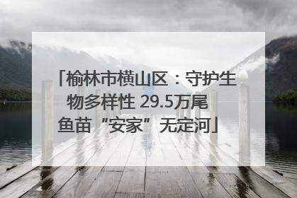榆林市横山区：守护生物多样性 29.5万尾鱼苗“安家”无定河