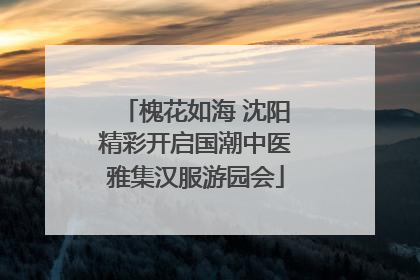 槐花如海 沈阳精彩开启国潮中医雅集汉服游园会