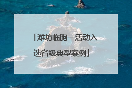 潍坊临朐一活动入选省级典型案例