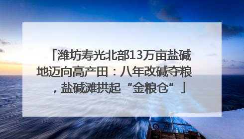 潍坊寿光北部13万亩盐碱地迈向高产田：八年改碱夺粮，盐碱滩拱起“金粮仓”