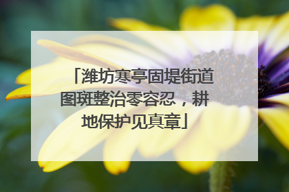 潍坊寒亭固堤街道图斑整治零容忍，耕地保护见真章