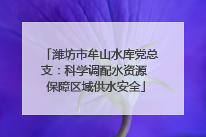潍坊市牟山水库党总支：科学调配水资源 保障区域供水安全