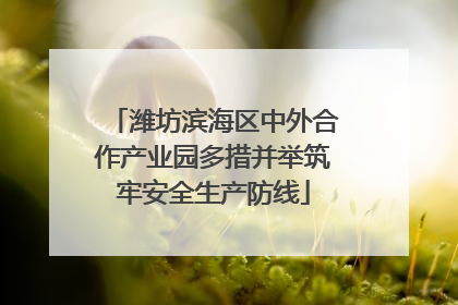 潍坊滨海区中外合作产业园多措并举筑牢安全生产防线