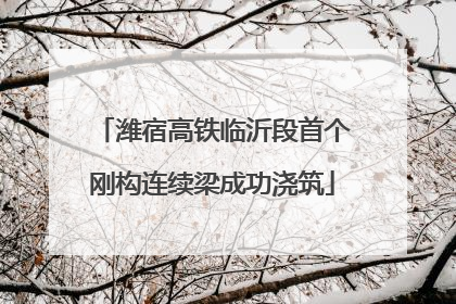 潍宿高铁临沂段首个刚构连续梁成功浇筑