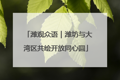 潍观众语｜潍坊与大湾区共绘开放同心圆