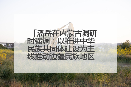 潘岳在内蒙古调研时强调：以推进中华民族共同体建设为主线推动边疆民族地区高质量发展